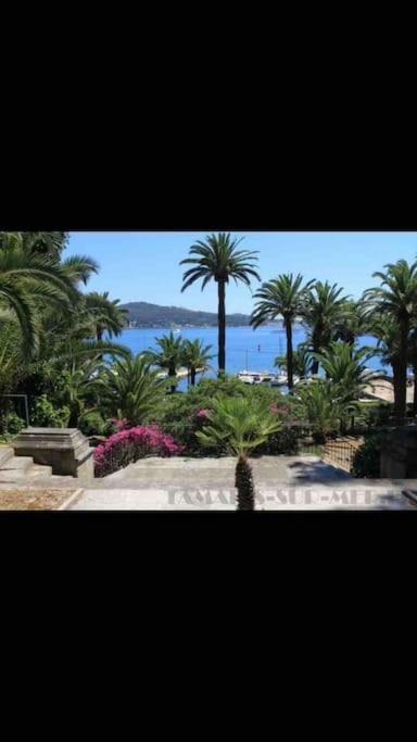 Appartement Le Dyonisos Et Piscine à La Seyne-sur-Mer Extérieur photo