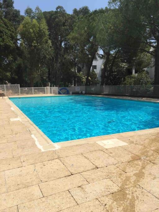 Appartement Le Dyonisos Et Piscine à La Seyne-sur-Mer Extérieur photo